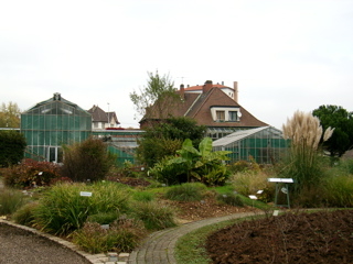 1217356823_jardin_botanique.jpg