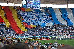 mini_coupe_de_france_sochaux_020.jpg