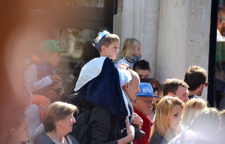 08DSC_3039.JPG