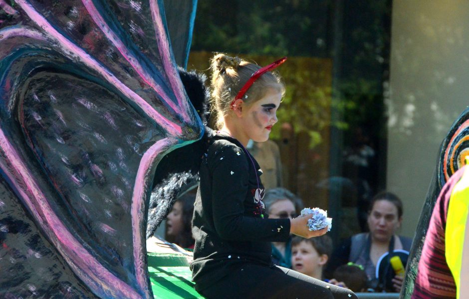 15DSC_2971.JPG