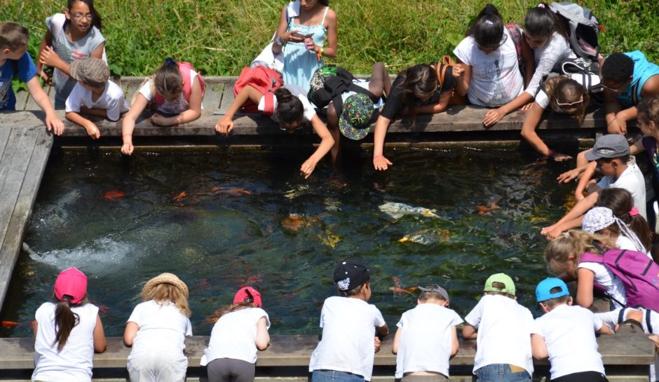 sortie enfants de Familles rurales ©