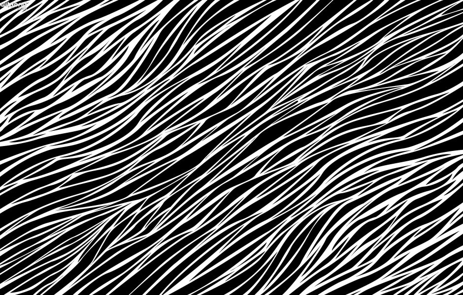 11999648_1641507299435359_5410938644903417863_o.jpg