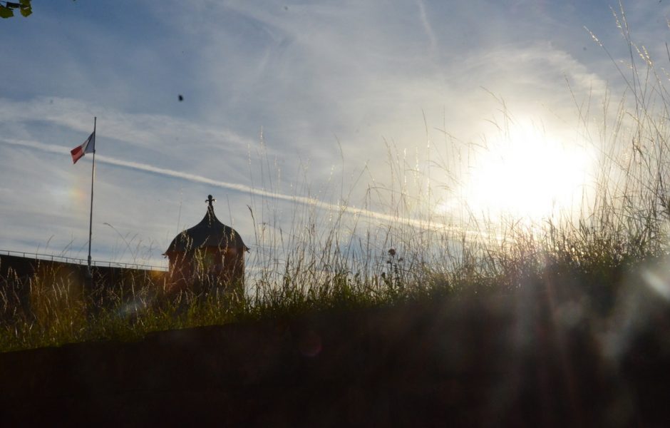  &copy; Alexane Alfaro