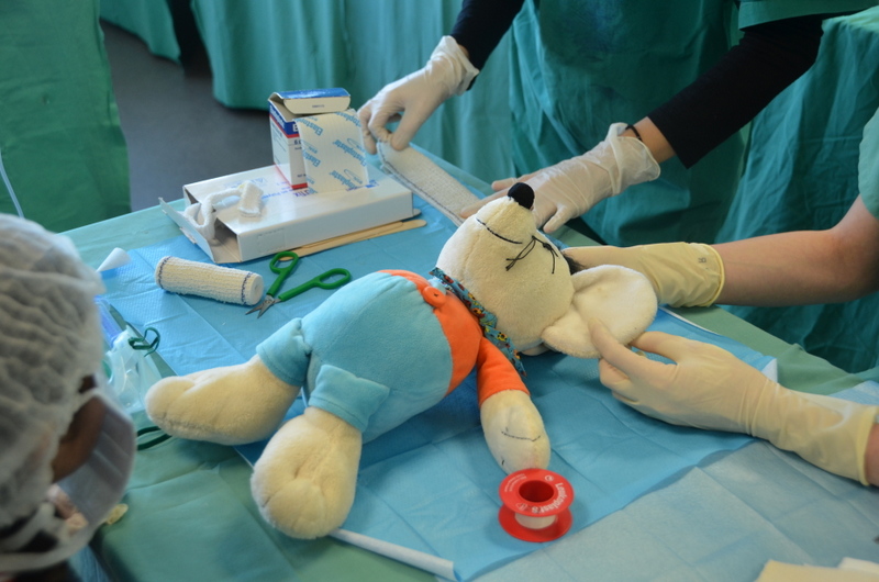 Hôpital des Nounours à Besançon Archives 2018 © Maxime C.