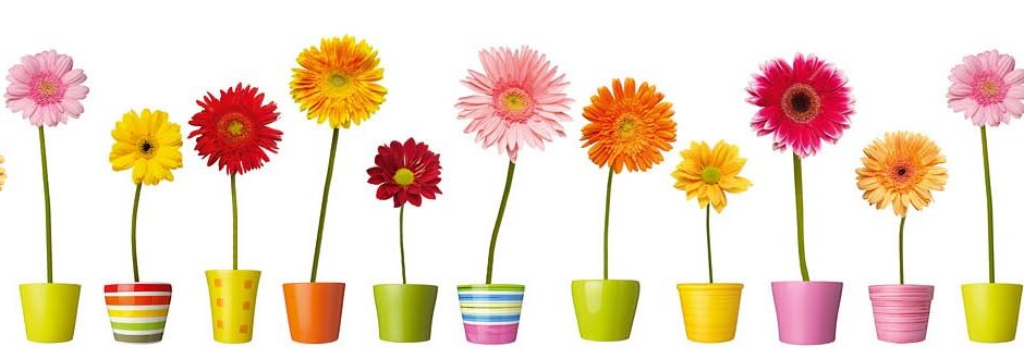 fleurs-et-pots-colores_1.jpg