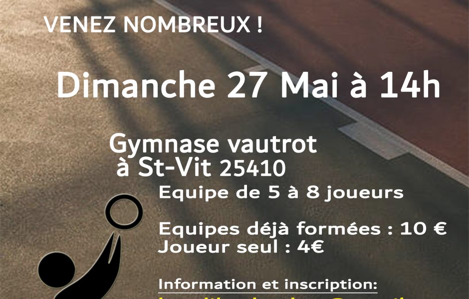 affiche_handisbasket_finale.jpg