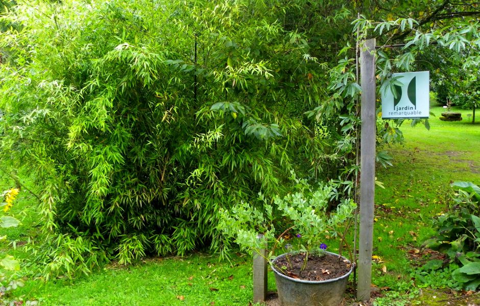 jardin_cude_mailleroncourt-charette.jpg