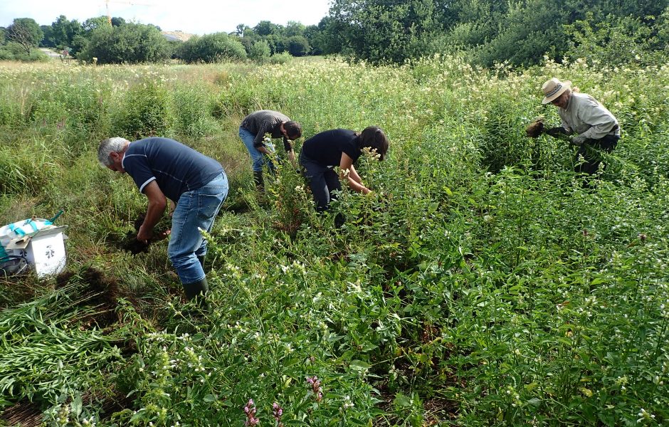 OLYMPUS DIGITAL CAMERA &copy;