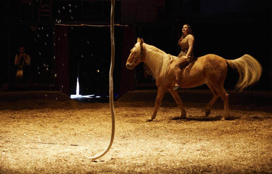  © Haras National &copy;  © Haras National