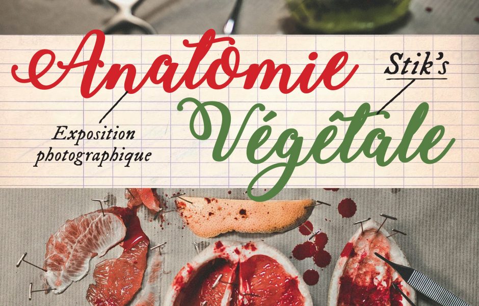 Expo anatomie végétale