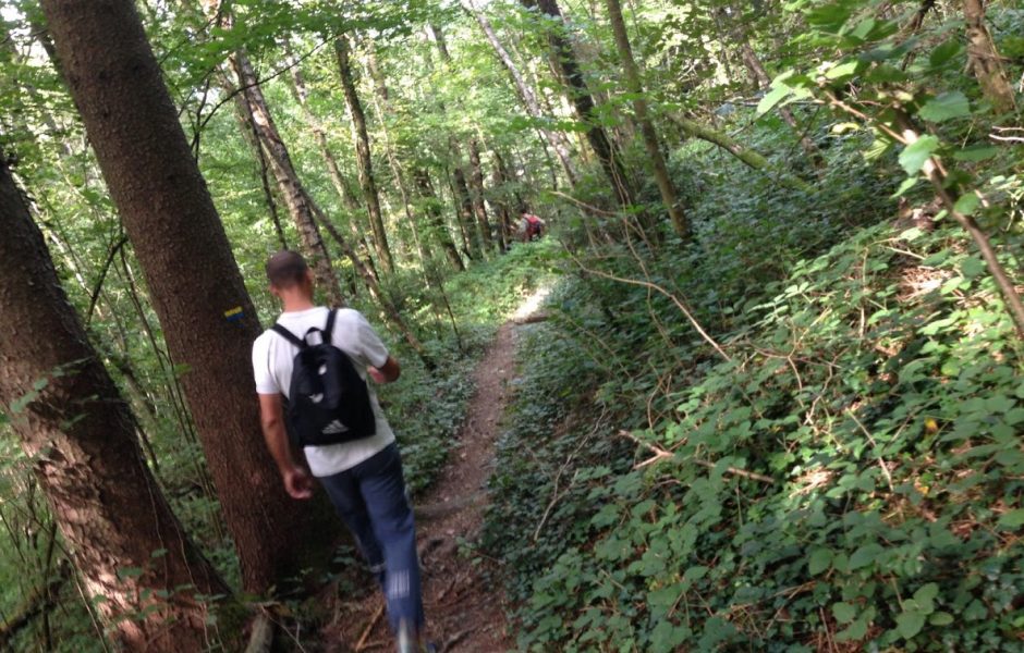 forêt randonnée  © d poirier 