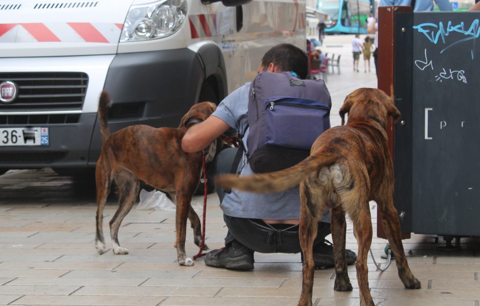 mendicité Besançon 

 ©