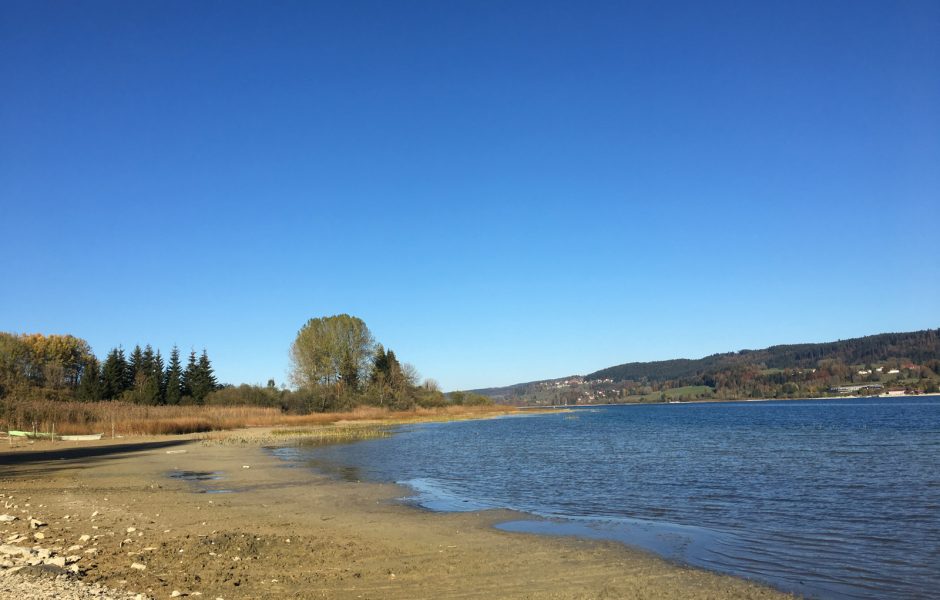 lac Saint Point sécheresse 2018 © Hélène Loget ©