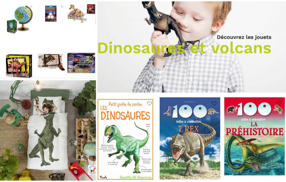 © dinosaures et volcans ©