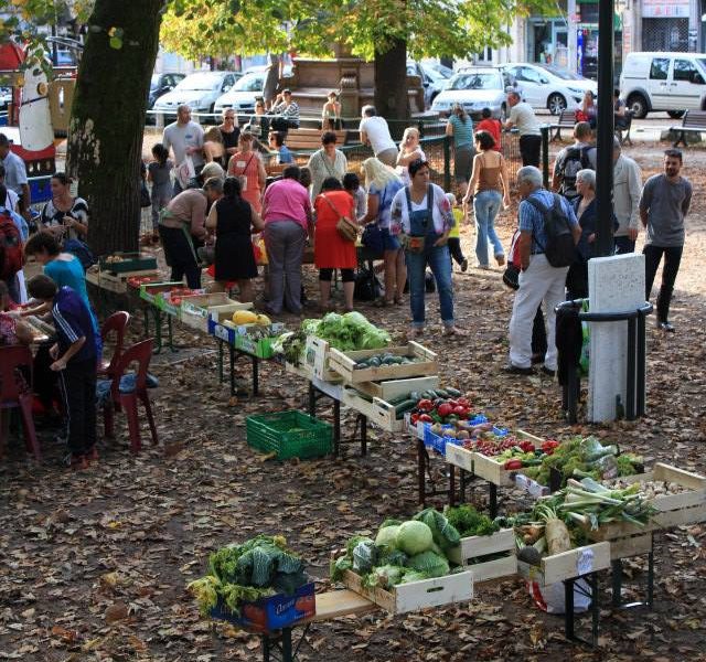 ©Les Radis'co &copy;