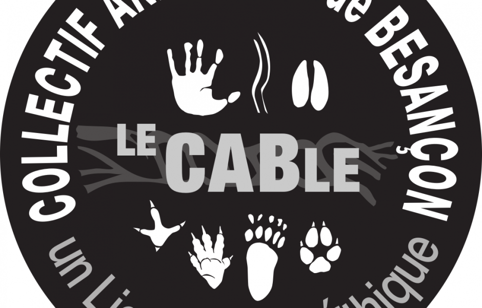 ©Le CABle ©