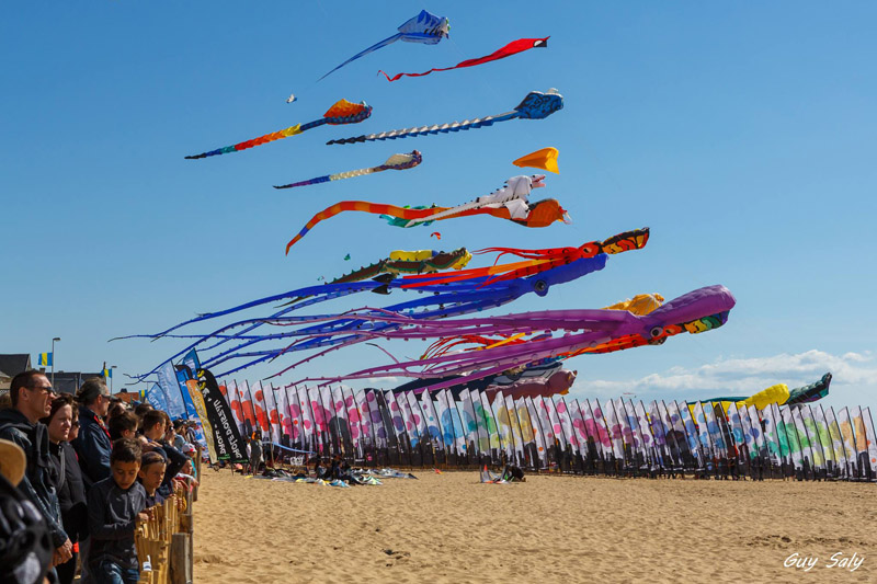 Châtelaillon-Plage : Festival du cerf-volant et du vent - Blog Mappy