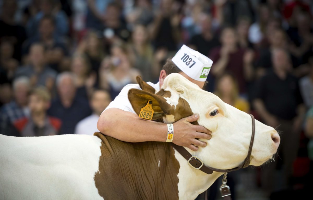 Concours MONTBELIARD PRESTIGE 2019 © Jerome CHABANNE