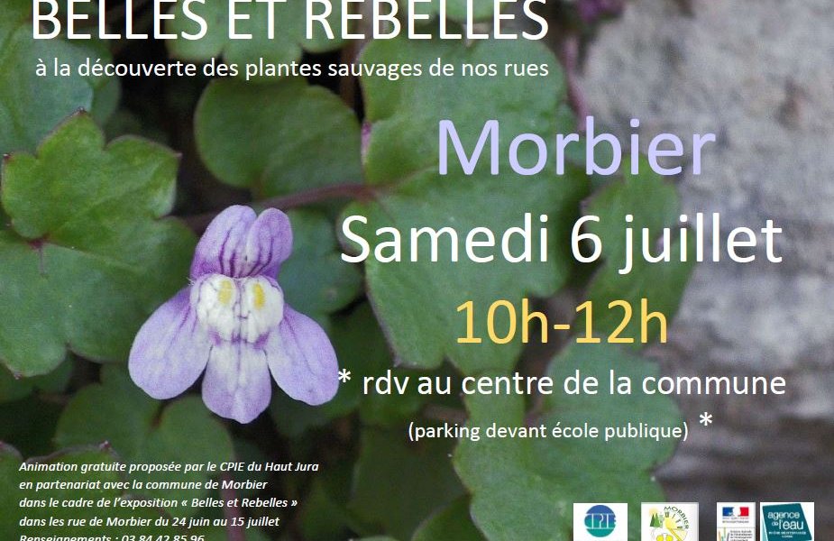 affiche morbier