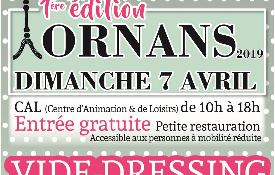 affiche puce et vide