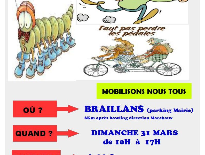 amo braillans