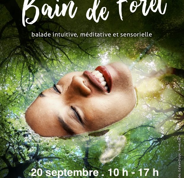 bain de foret