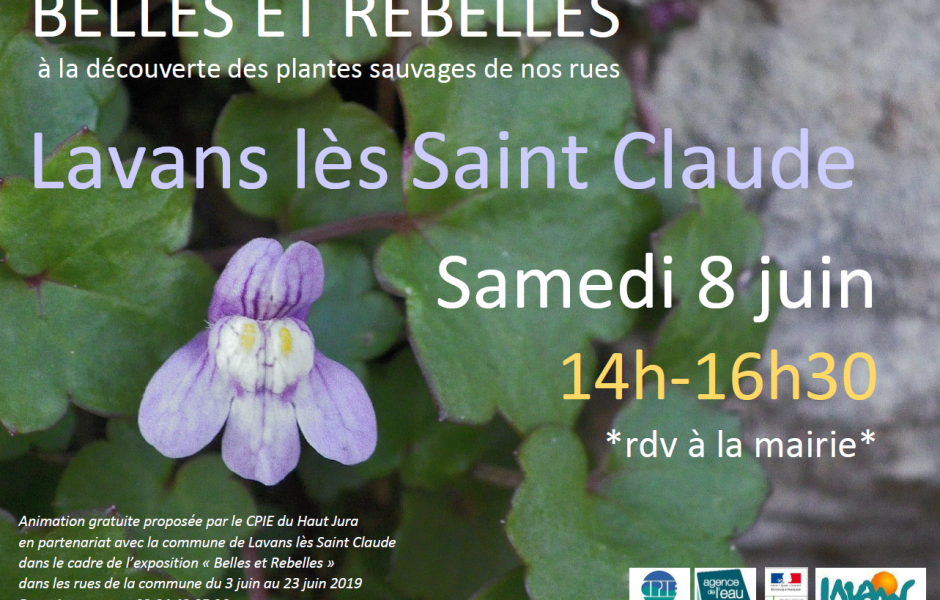 belles et rebelles lavans 8 juin