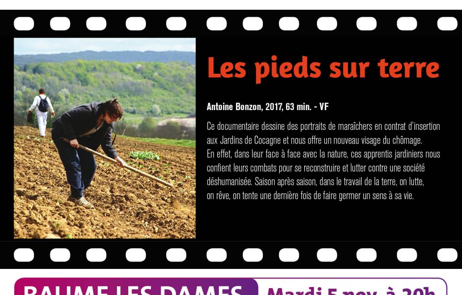 ciné docu Novembre