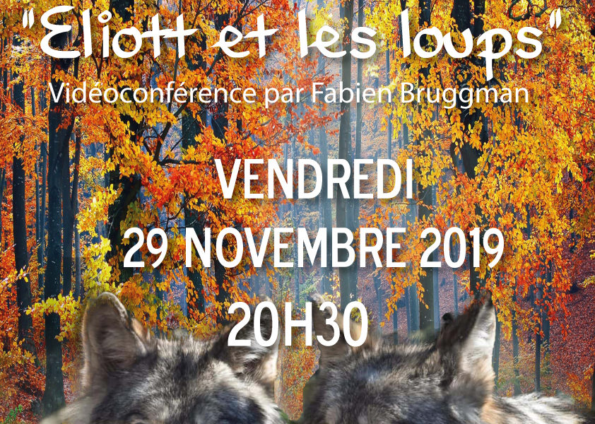 Eliott-et-les-loups