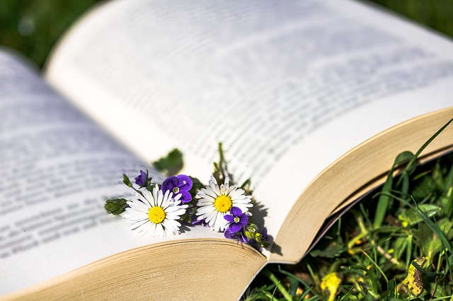 grimoire et plantes