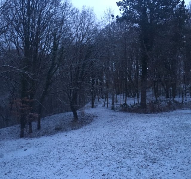 neige 23 janvier 2019 © Hélène Loget &copy;