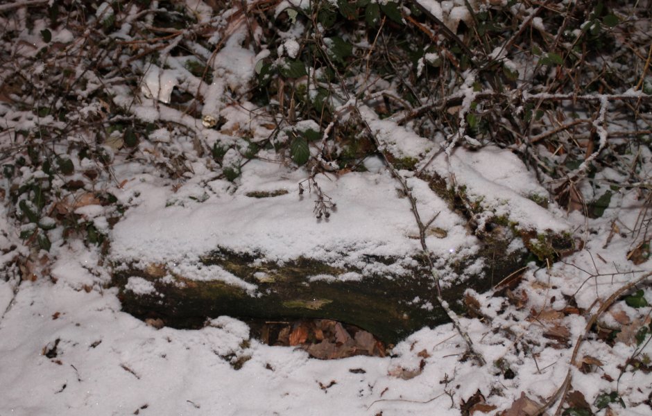 neige 23 janvier 2019 © Hélène Loget &copy;