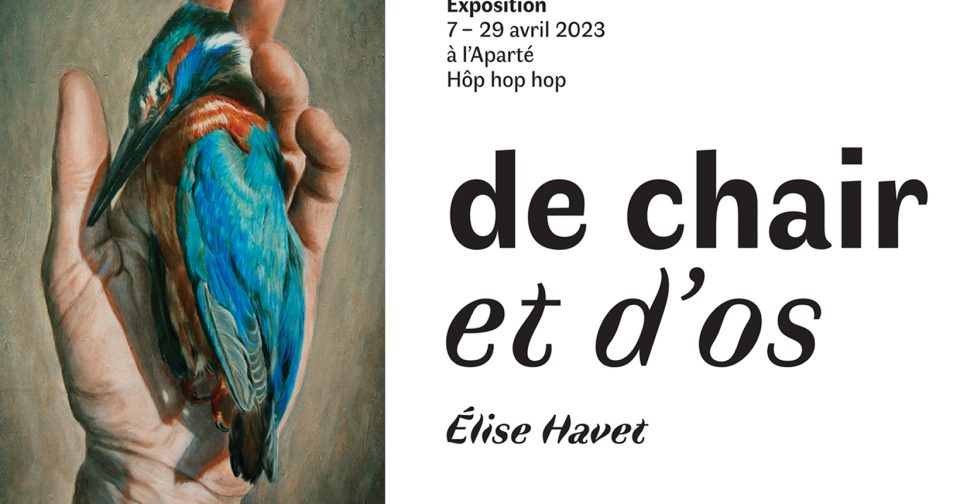 De chair et d’os // Elise Havet •