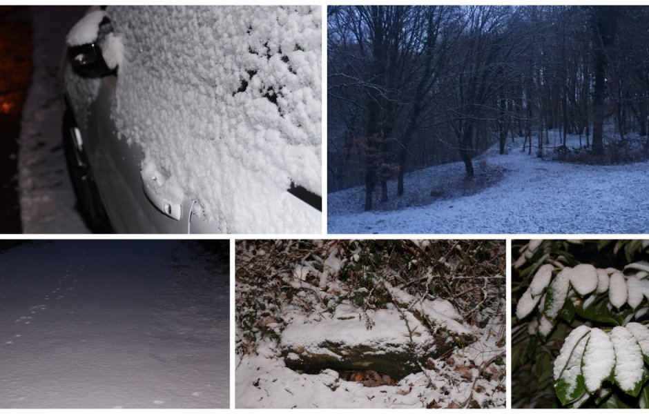 neige 23 janvier 2019 © Hélène Loget &copy;