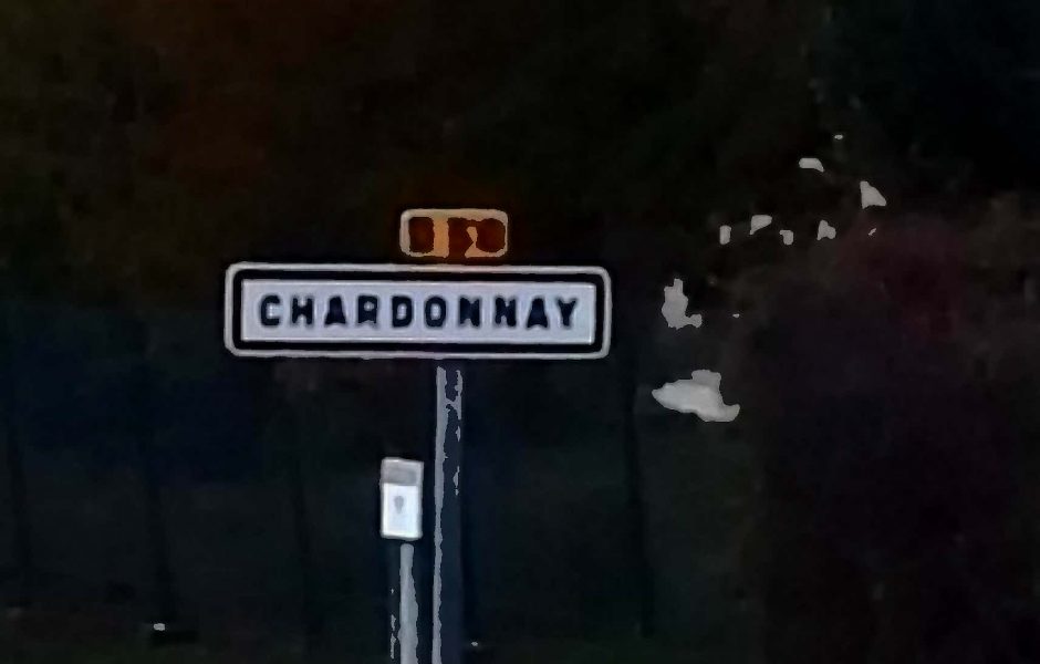 Panneau Chardonnay dessin anime?