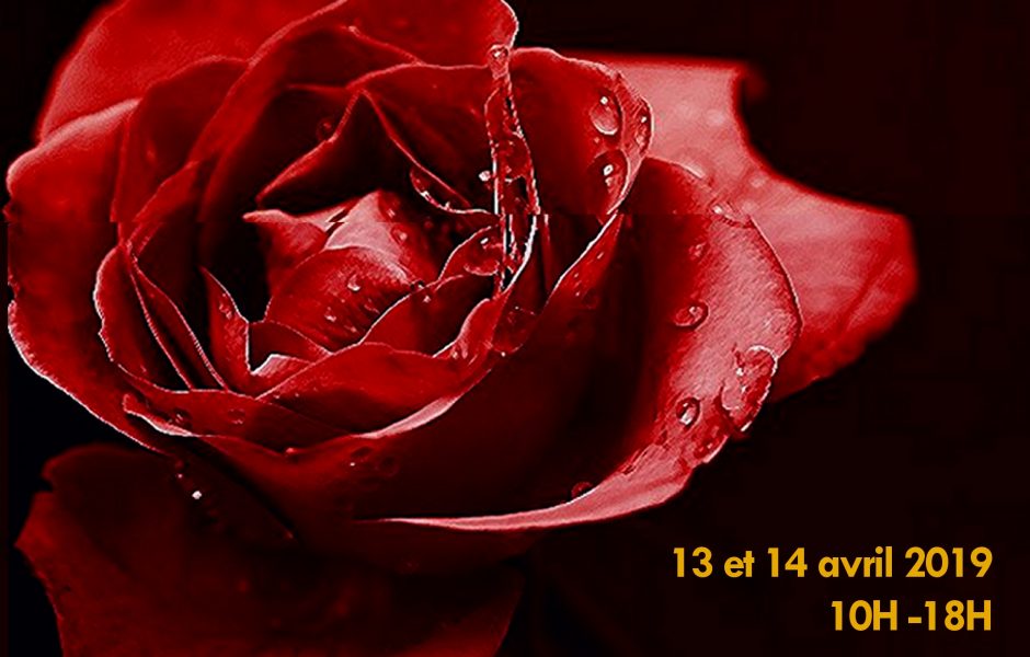 PEF 2019 - Flyer