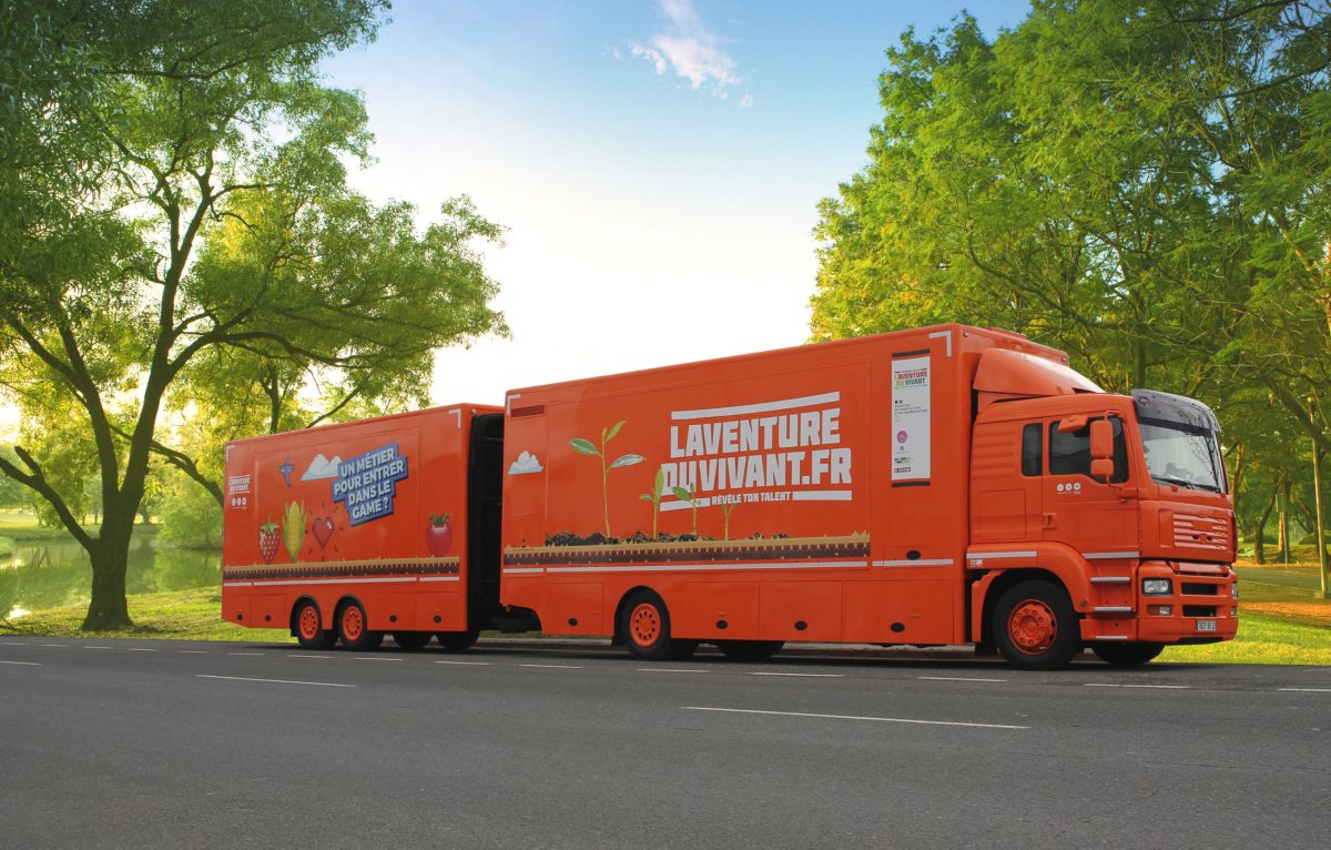 beautiful morning light in public park with green grass field and green fresh tree plant perspective to copy space for multipurpose &copy;
