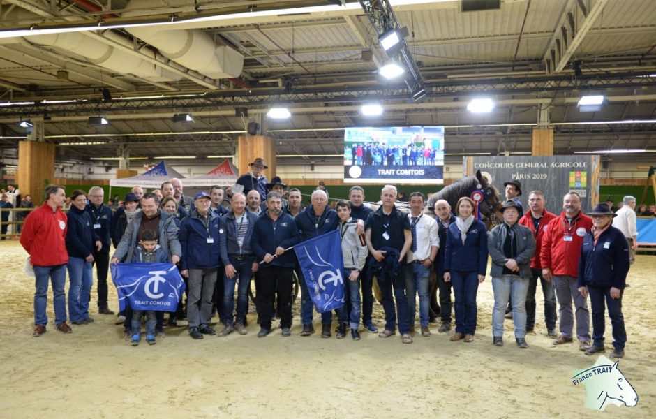 © France Trait SIA 2019
 ©