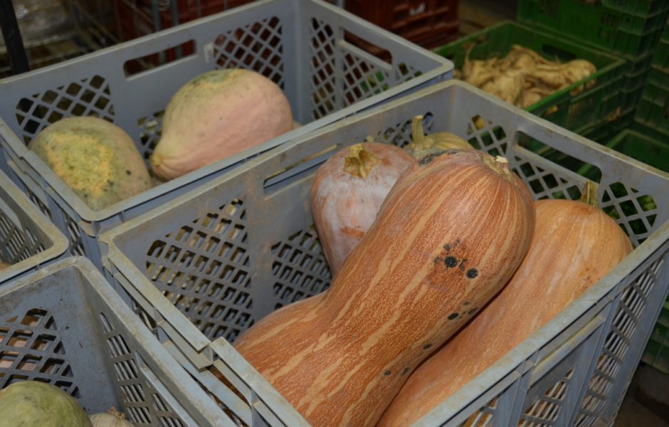 Connaissezvous les paniers des jardins de Cocagne à Besançon