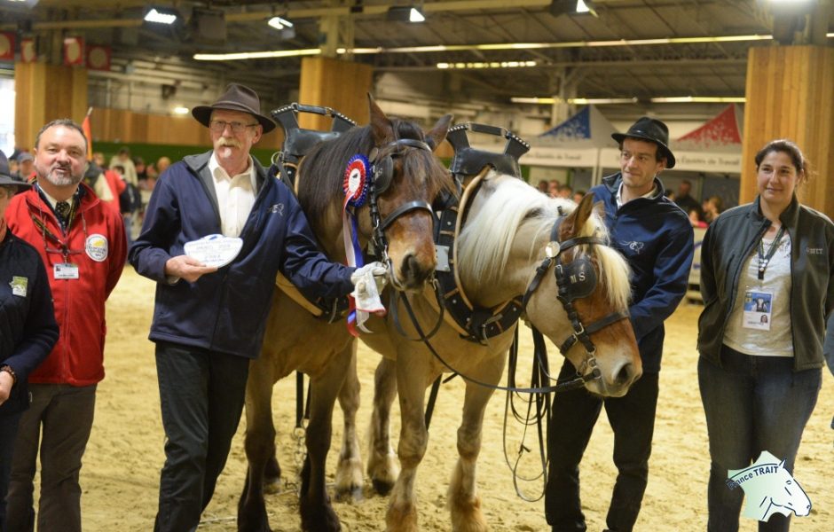 Remise des prix traction
Michel SCHNOEBELEN
avec  FUSAIN DU LAC et FLOX DU LAC © France Trait ©