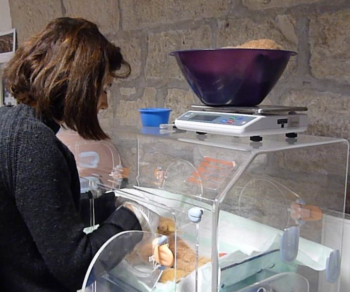 Besançon  Faune. La Citadelle donne des nouvelles de la femelle lémurien,  Tahiry