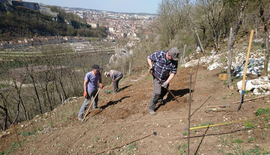 Terrasses des collines bisontines ©