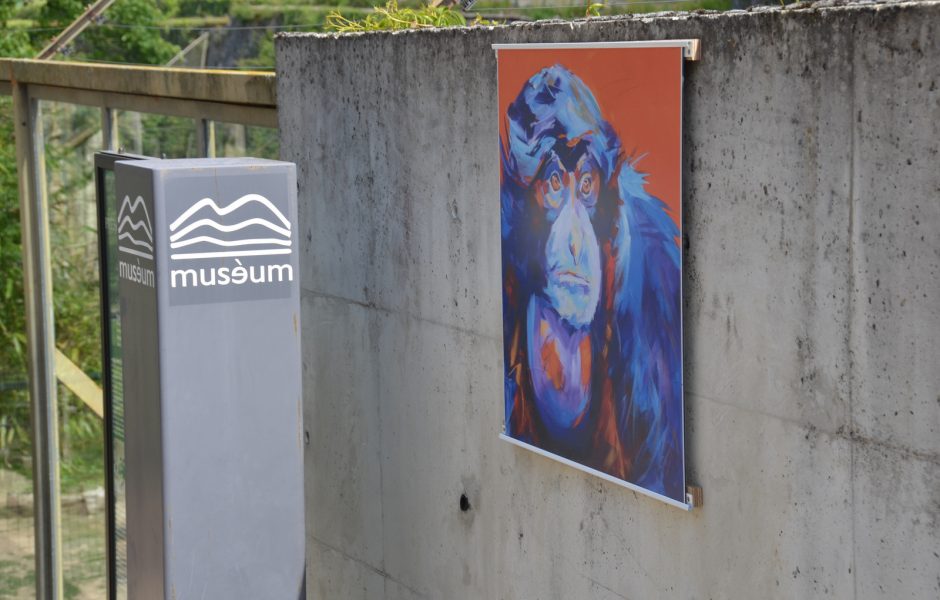 Citadelle exposition mai 2019-004