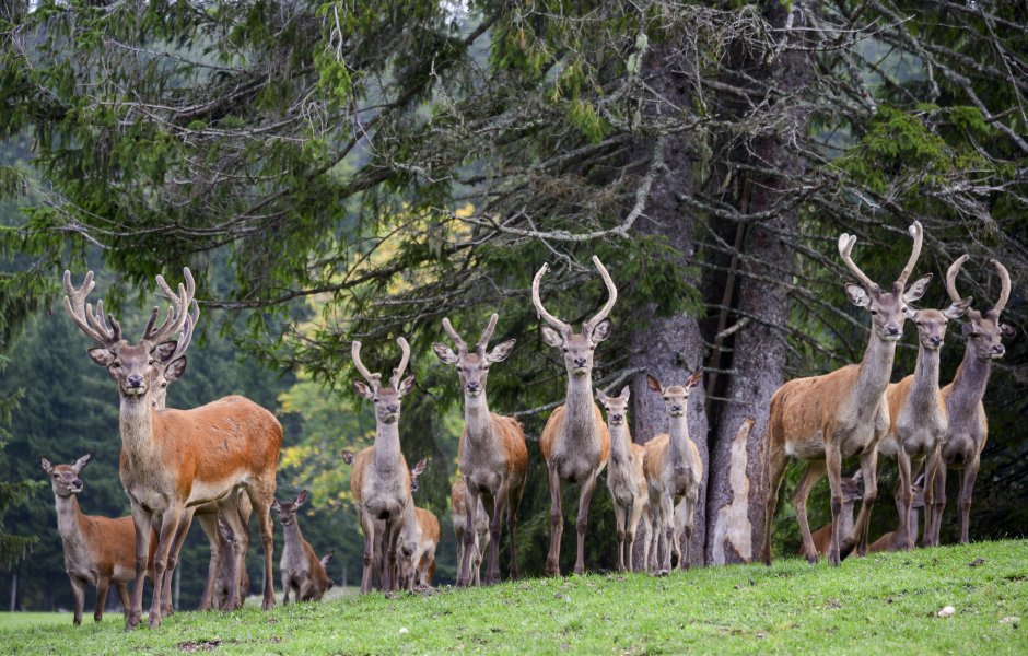 © Bourgogne-Franche-Comté Tourisme : Alain Doire  ©