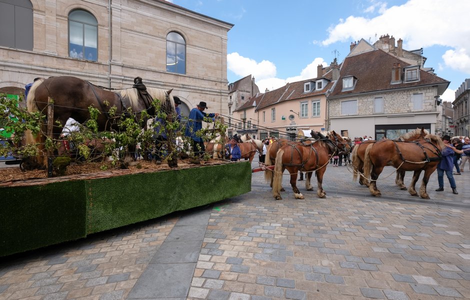 défilé du centenaire du cheval comtois à Besançon © Jack Varlet - besancon ©