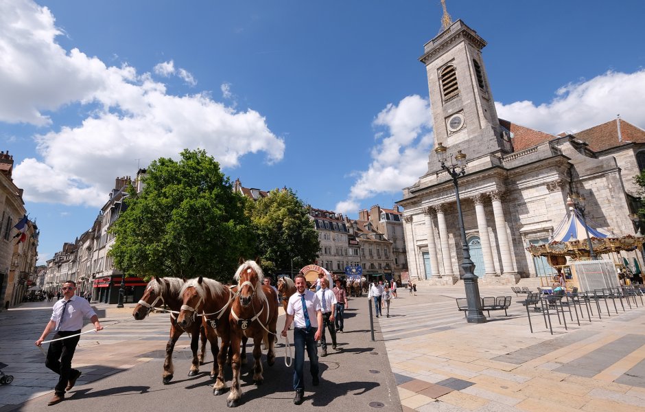 défilé du centenaire du cheval comtois à Besançon© Jack Varlet - besancon ©