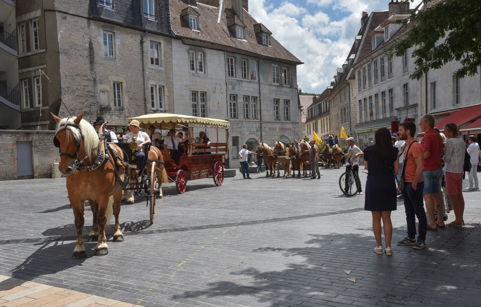 défilé du centenaire du cheval comtois à Besançon © Jack Varlet - besancon ©