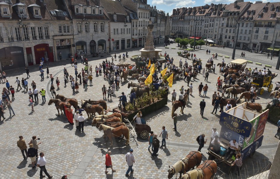 défilé du centenaire du cheval comtois à Besançon © Jack Varlet - besancon ©