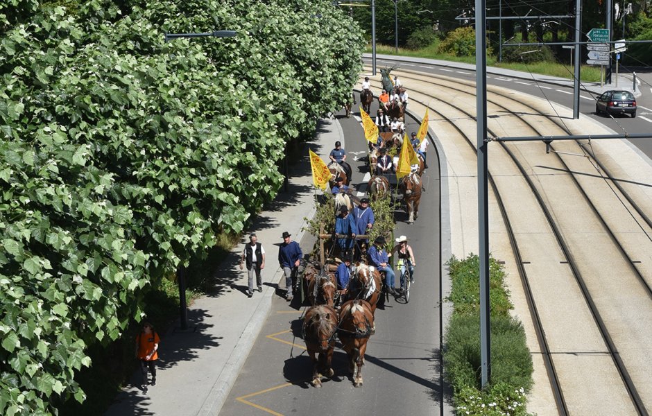 défilé du centenaire du cheval comtois à Besançon  © Jack Varlet - besancon <span class='copyright'></img>©</span>
