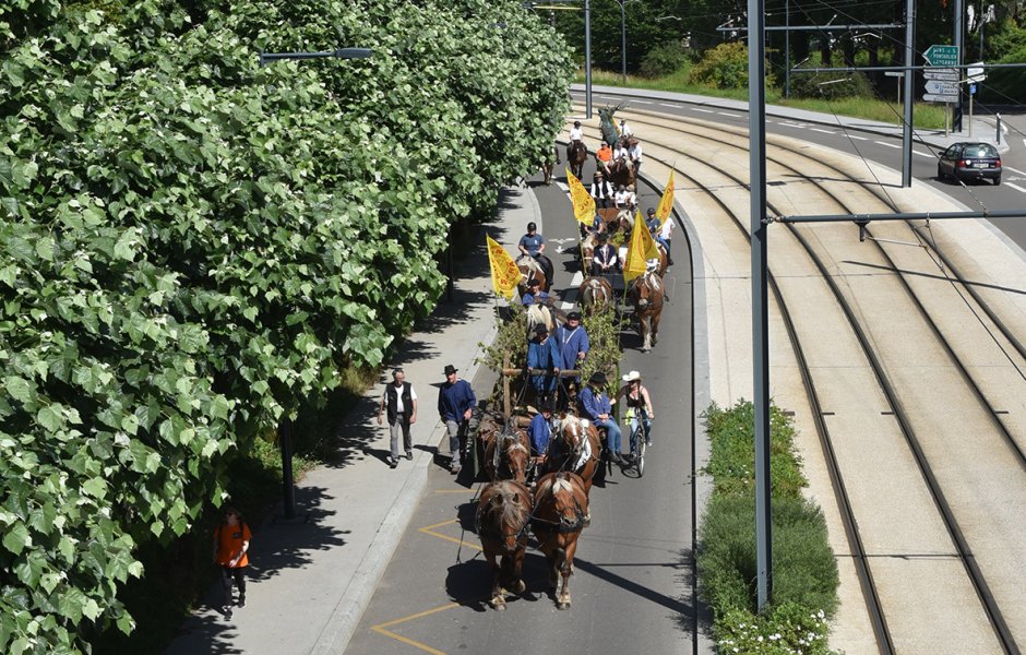 défilé du centenaire du cheval comtois à Besançon  © Jack Varlet - besancon ©